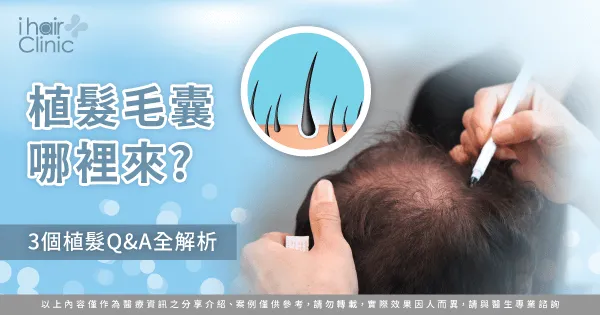 3QA解析植髮取用毛囊注意事項-植髮毛囊哪裡來